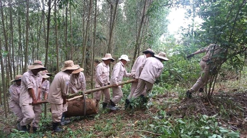 lien tiep phat hien 3 qua bom trong luong lon tai quang binh lien tiep phat hien 3 qua bom trong luong lon tai quang binh