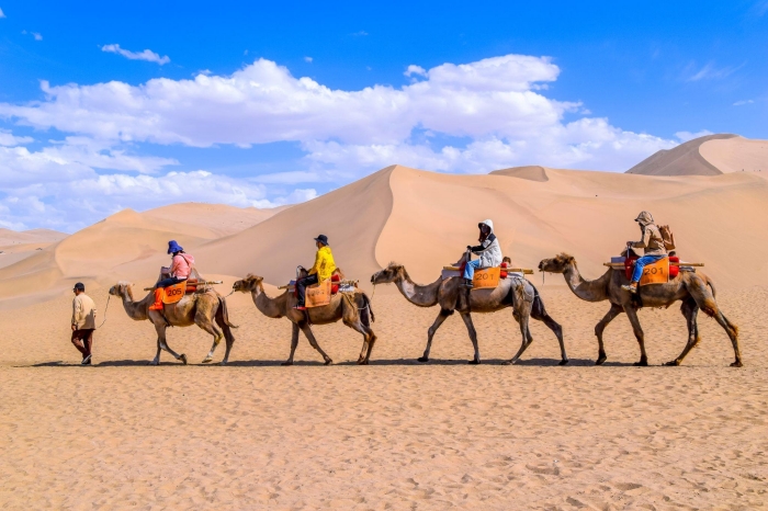 tour moi gia tot con duong to lua don hoang gia duc quan7