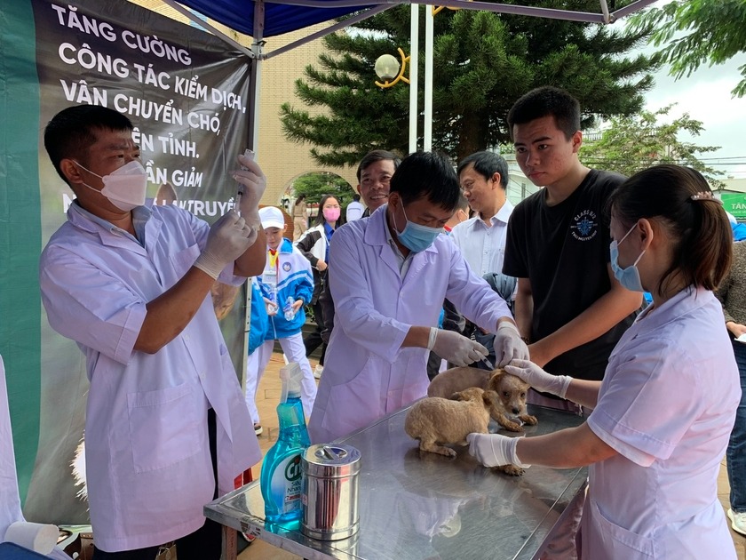 tin tuc doi song moi nhat ngay 23122023 cuu be gai 11 tuoi bi viem co tim toi cap soc tim2