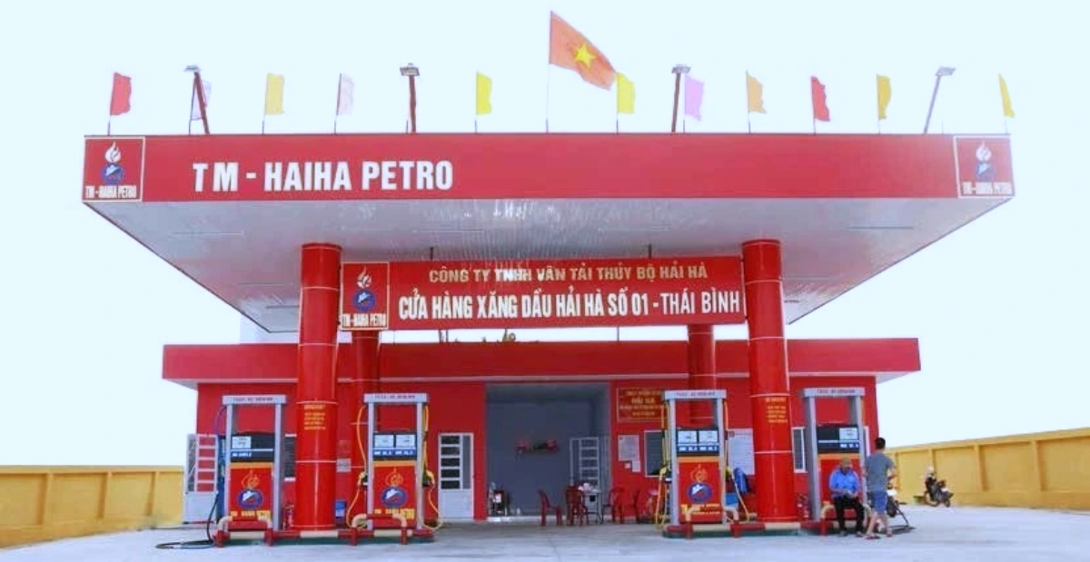 ong lon xang dau hai ha bi thu hoi giay phep kinh doanh ong lon xang dau hai ha bi thu hoi giay phep kinh doanh