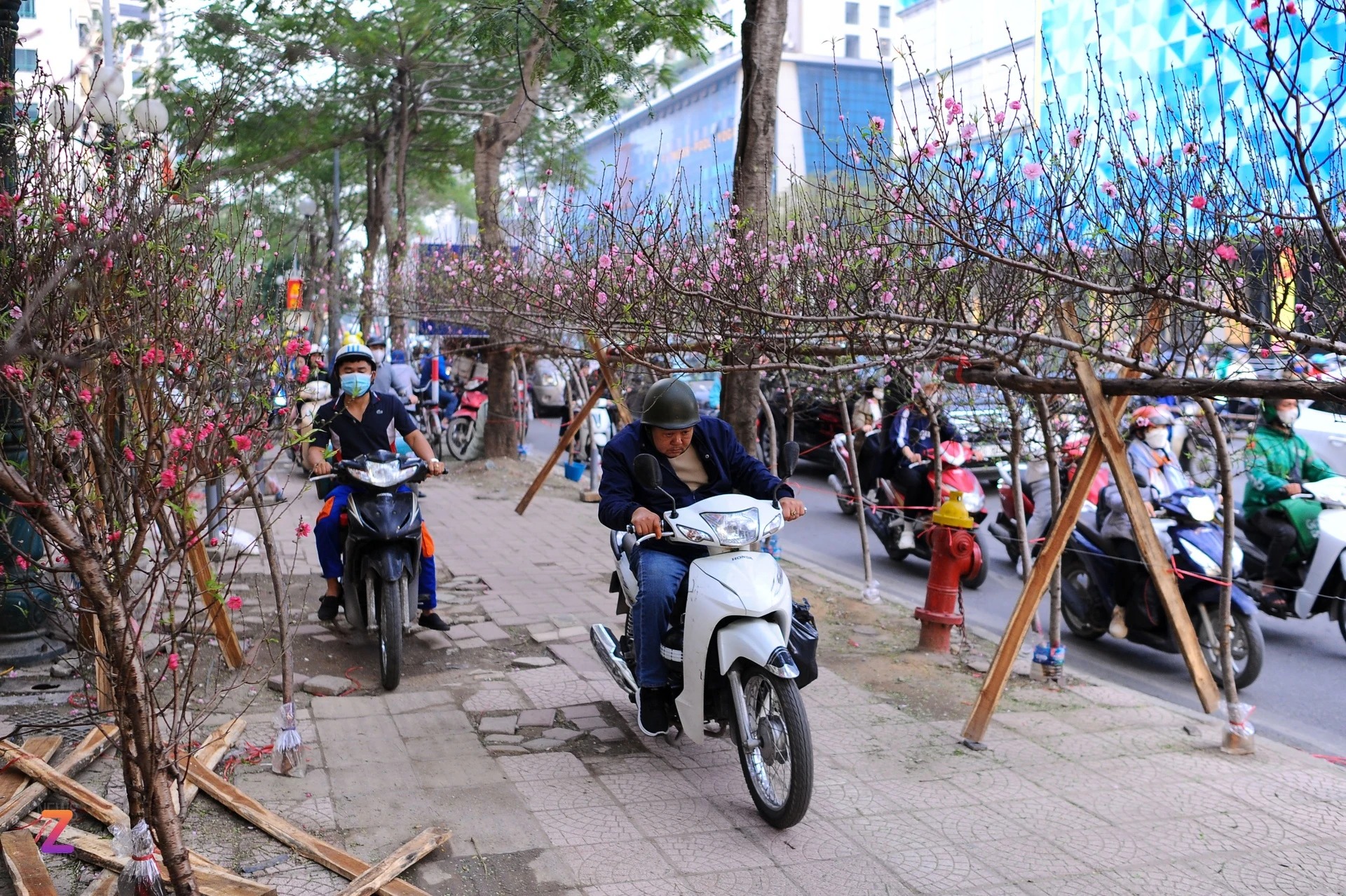 duong pho ha noi un tac trong ngay can tet nguoi dan chat vat di chuyen12 duong pho ha noi un tac trong ngay can tet nguoi dan chat vat di chuyen12