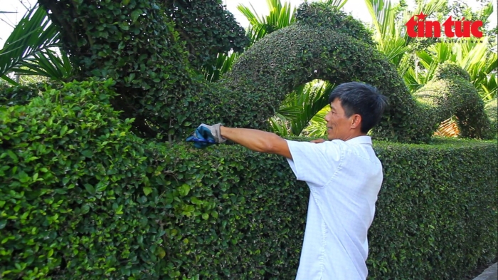 anh doc dao linh vat rong dai 20m duoc uon tia tu cay duoi o nam dinh4