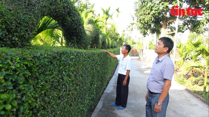 anh doc dao linh vat rong dai 20m duoc uon tia tu cay duoi o nam dinh9