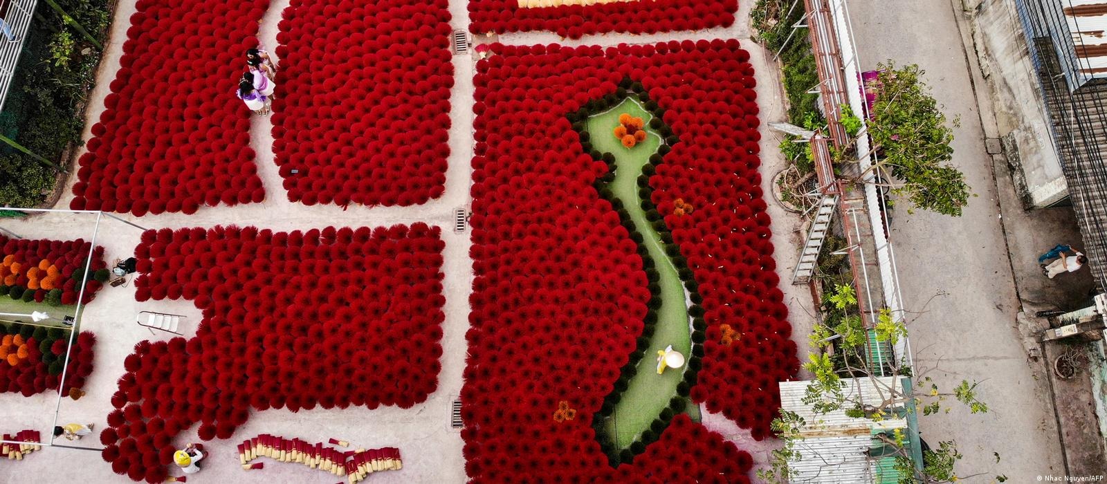 lang huong quang phu cau cua viet nam len bao nuoc ngoai6