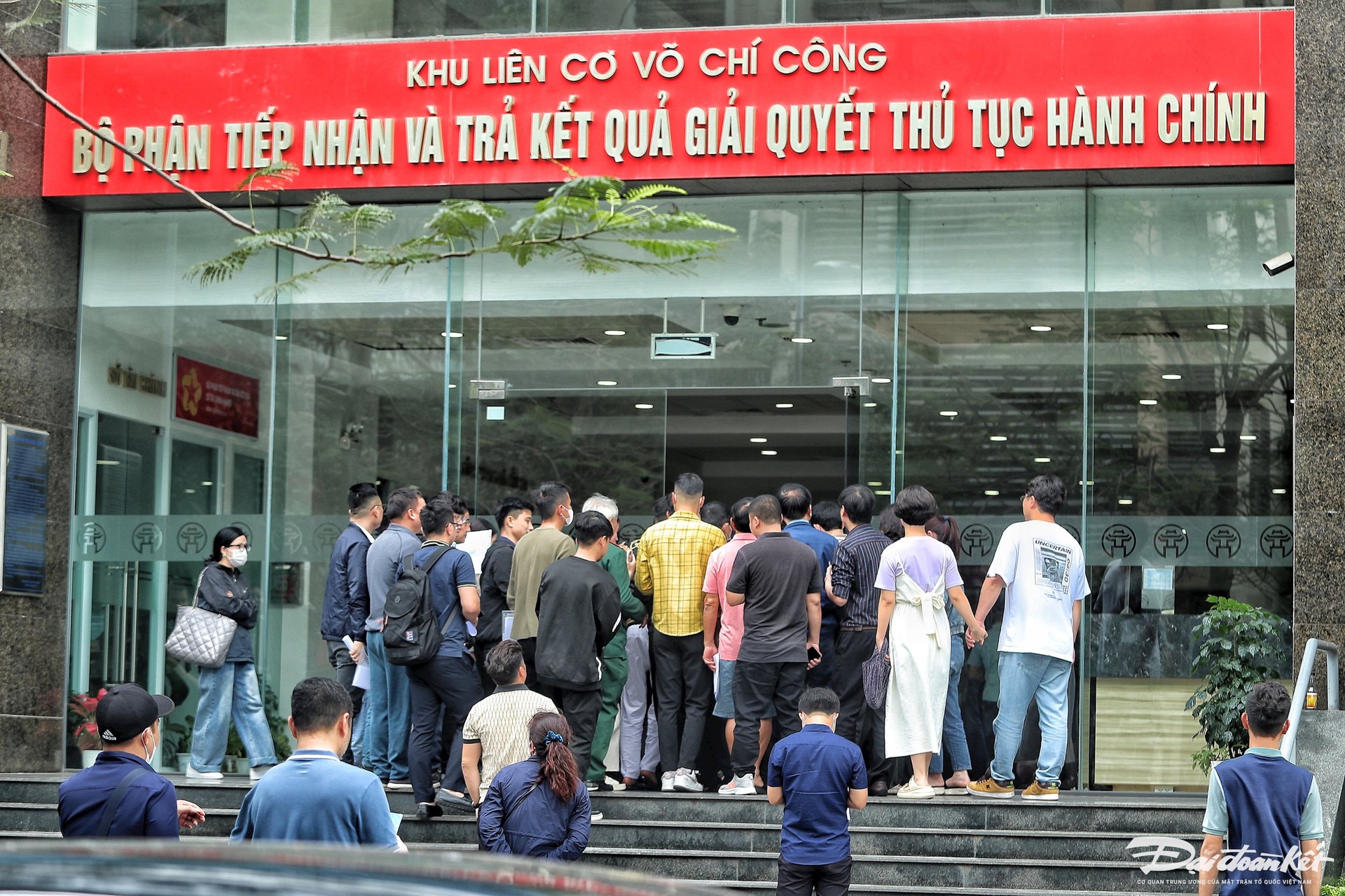ha noi nguoi dan xep hang cho cap doi giay phep lai xe