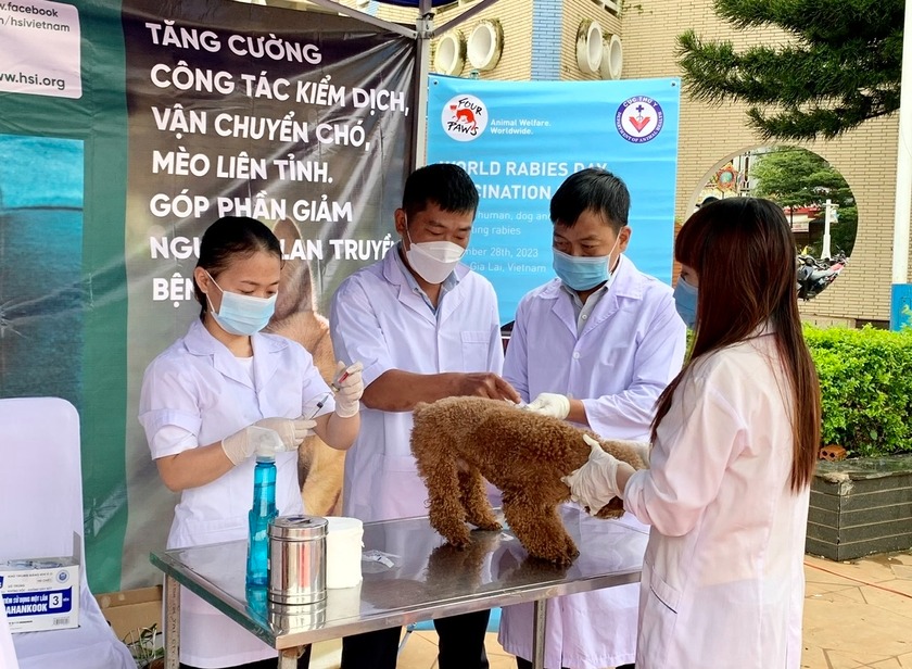 tin tuc doi song moi nhat ngay 2622024 thuong xuyen an do chua cay nam sinh 15 tuoi bi thung da day1