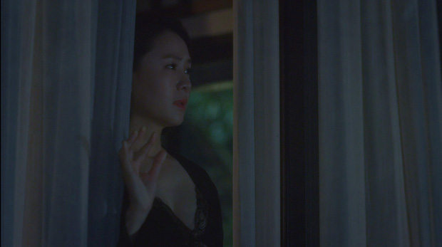 huong duong nguoc nang 66 3 huong duong nguoc nang 66 3