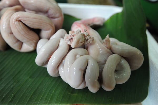 trang heo xao dua 1 trang heo xao dua 1