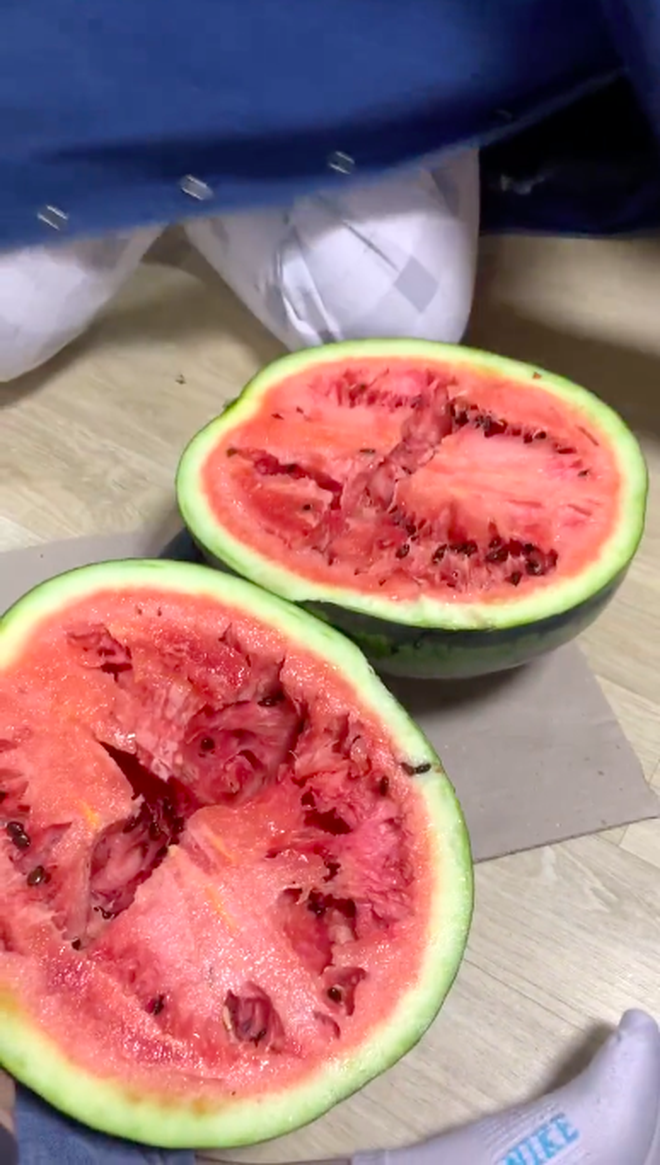 clip bo dua hau 2 clip bo dua hau 2