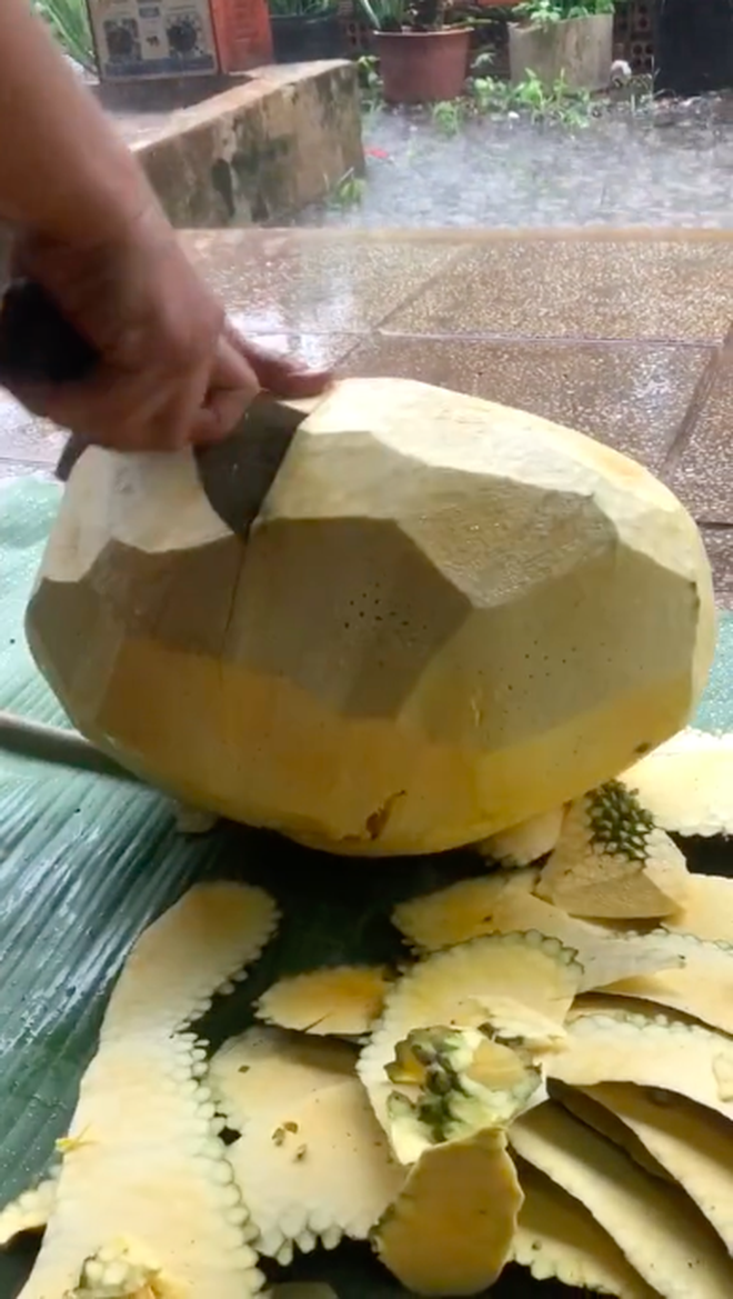 bo mit nguoc doi 2 bo mit nguoc doi 2
