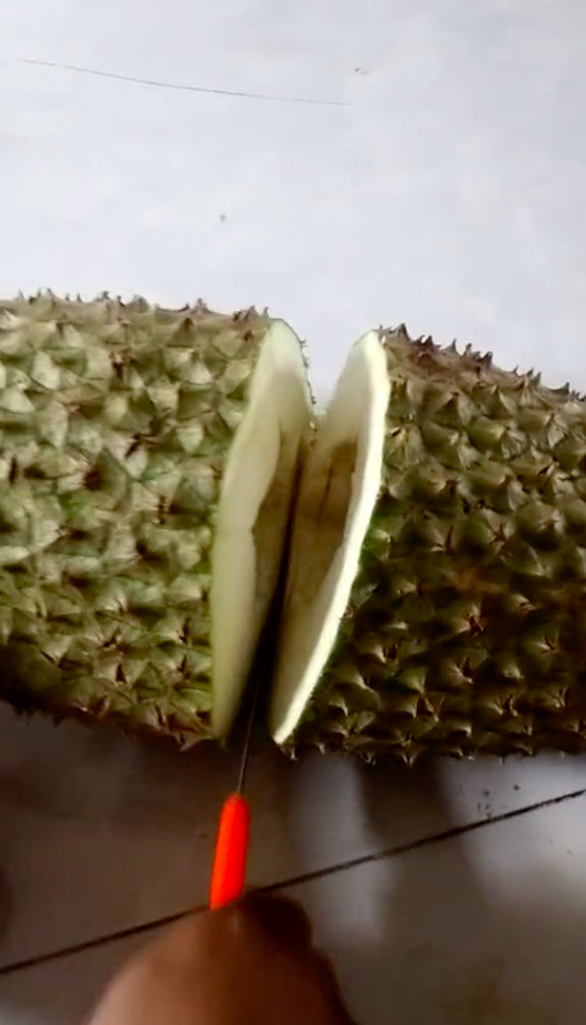 clip bo sau rieng 1 clip bo sau rieng 1