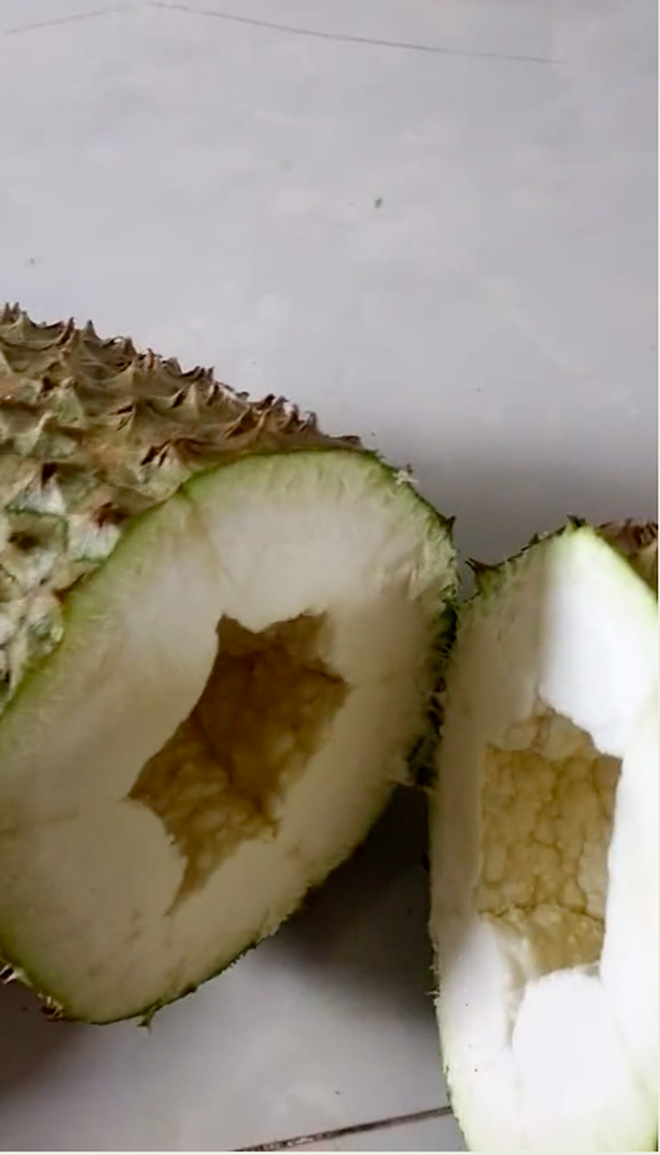 clip bo sau rieng 2 clip bo sau rieng 2
