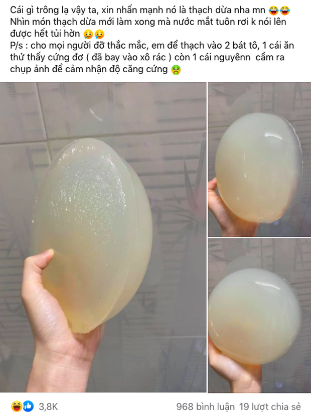 thach dua giong silicone 1 thach dua giong silicone 1