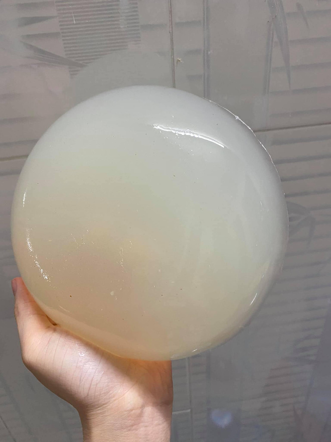 thach dua giong silicone 4 thach dua giong silicone 4