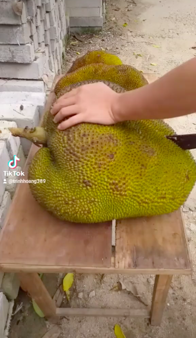 bo mit khong lo 1 bo mit khong lo 1