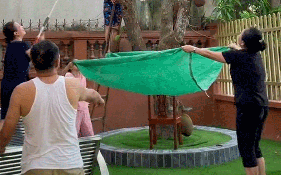 ca gia dinh hai mit 1