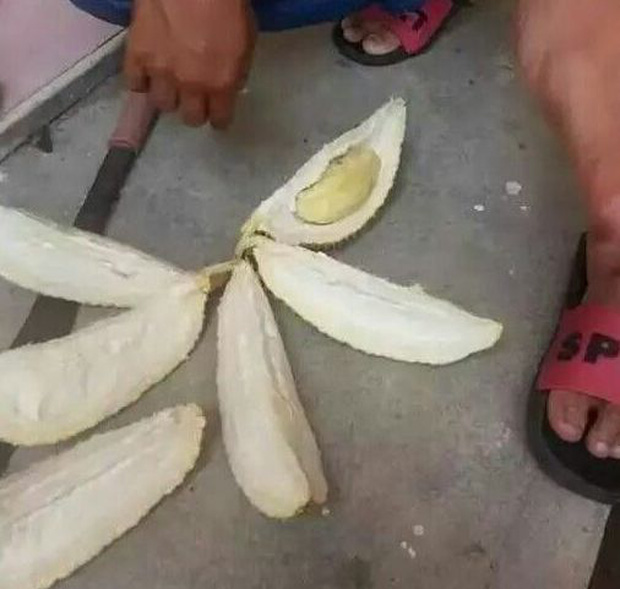 khui sau rieng 30 nghin 3 khui sau rieng 30 nghin 3