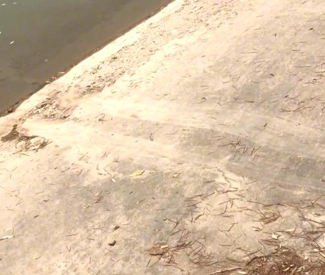 con gai bo nha ra di 4 con gai bo nha ra di 4