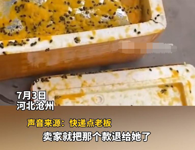 chanh day phat no 3 chanh day phat no 3