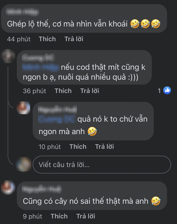 mit sai triu qua 2 mit sai triu qua 2