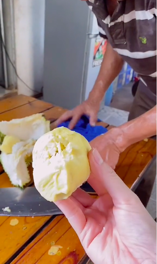 khui sau rieng 5 nam tuoi 2 khui sau rieng 5 nam tuoi 2