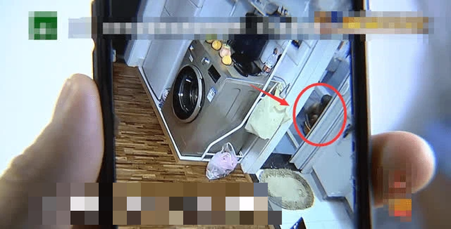 con trai bi bao mau bao hanh 2 con trai bi bao mau bao hanh 2