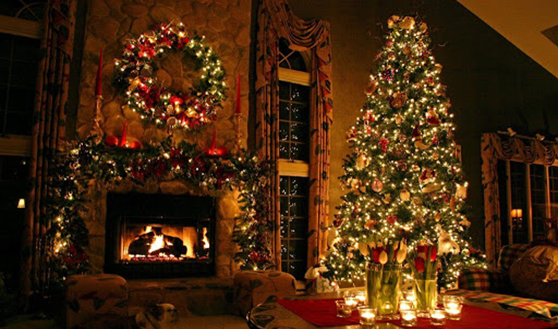 cay thong noel 3 cay thong noel 3