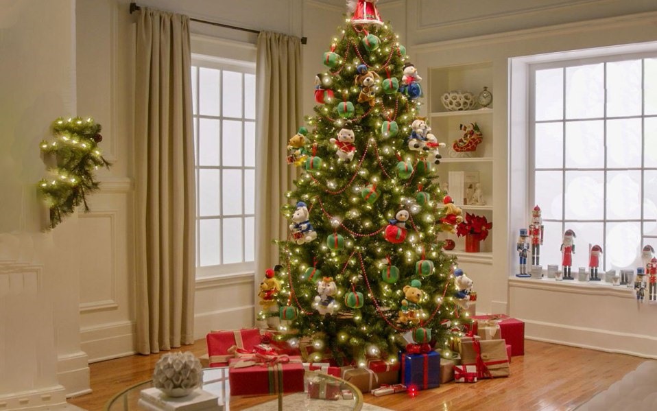 cach chon cay thong noel 3 cach chon cay thong noel 3