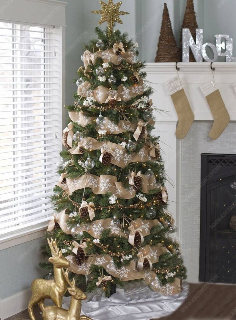cach chon cay thong noel 8 cach chon cay thong noel 8
