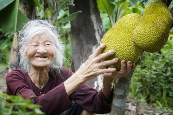 bai van mieu ta vuon nha ba 4 bai van mieu ta vuon nha ba 4