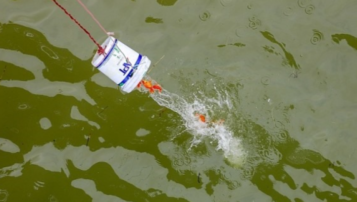 nhung kieng ky trong viec cung ong cong ong tao 2 nhung kieng ky trong viec cung ong cong ong tao 2