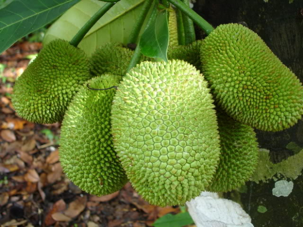 nhung dieu can tranh khi bay hoa qua 1 nhung dieu can tranh khi bay hoa qua 1