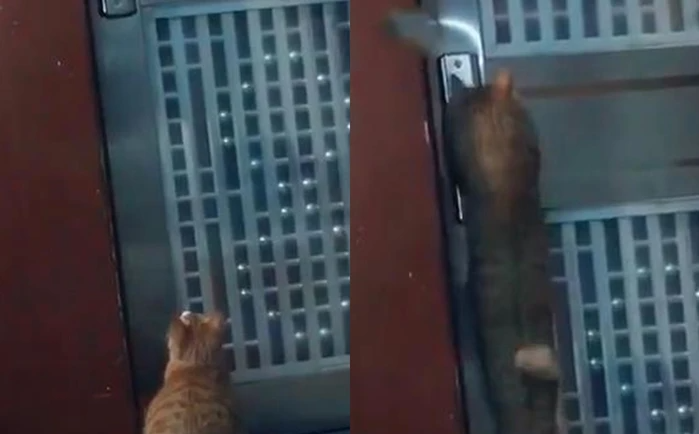 nghi ngo hang xom nhin trom 2 nghi ngo hang xom nhin trom 2
