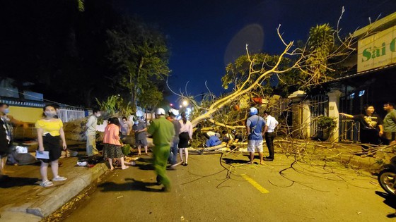 cay de trung hai me con 2 cay de trung hai me con 2