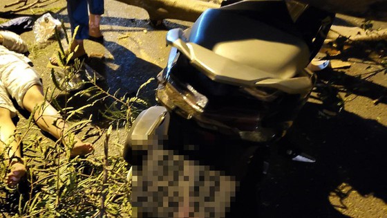 cay de trung hai me con cay de trung hai me con