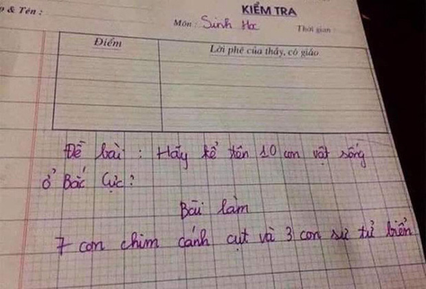 hoc sinh ke ten 10 con vat o bac cuc 1 hoc sinh ke ten 10 con vat o bac cuc 1