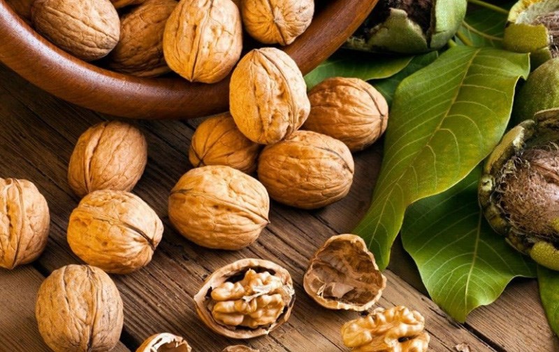 loai hat tot cho tim mach 1 loai hat tot cho tim mach 1