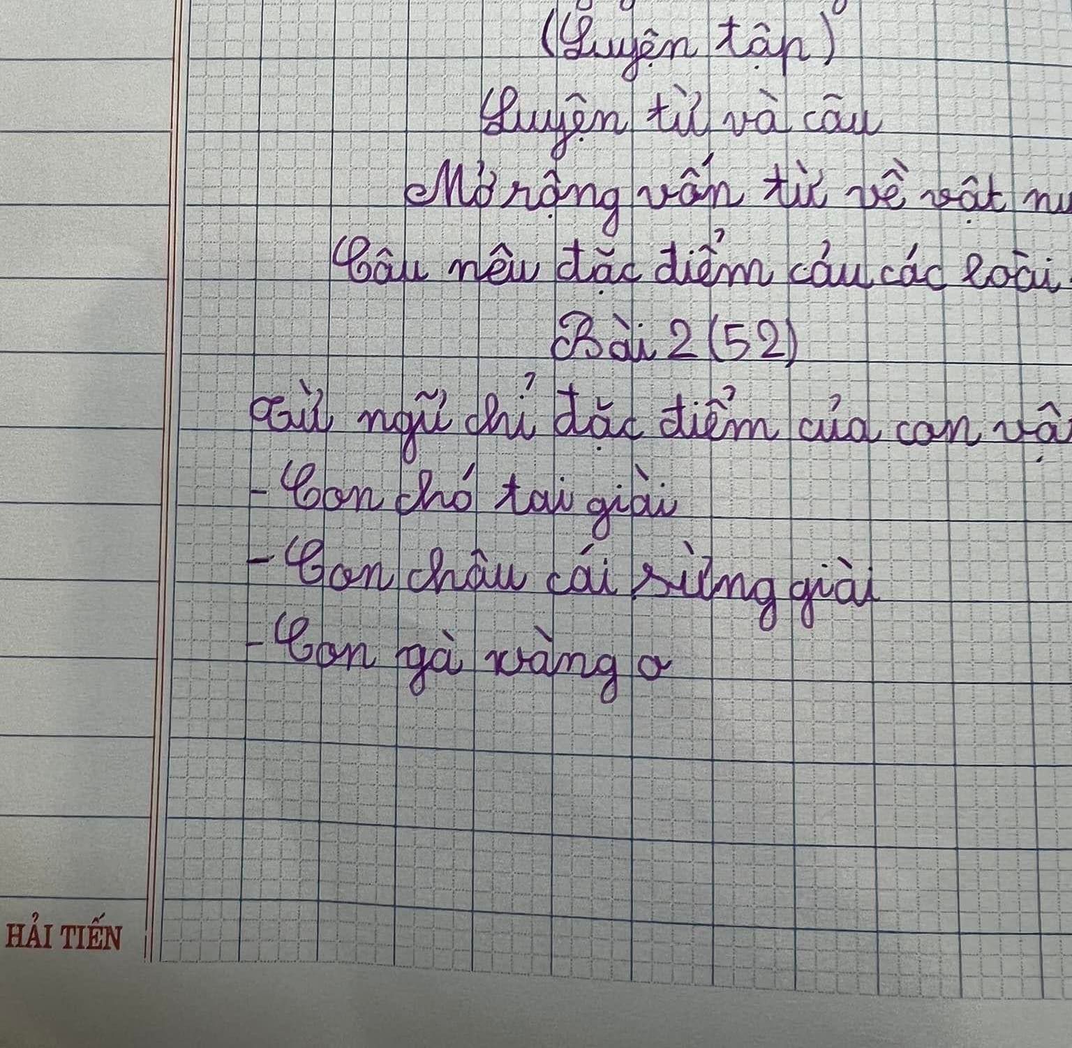 dat cau ta dac diem con vat 1 dat cau ta dac diem con vat 1