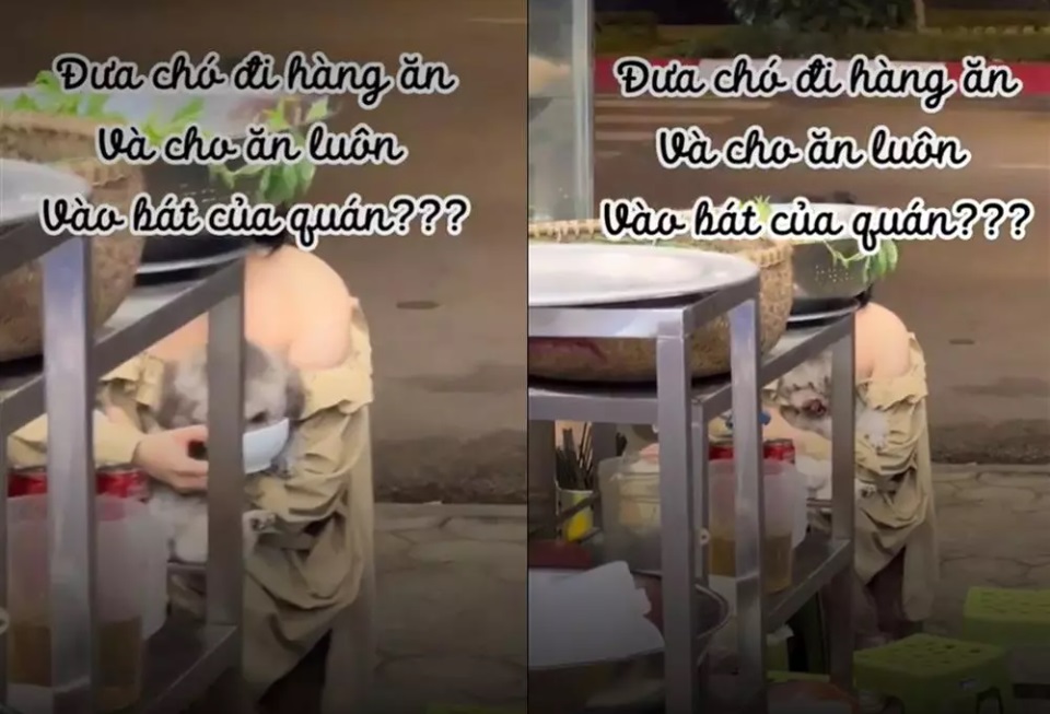 co gai tre bi nem da vi cho cho cung an uong trong bat cua quan co gai tre bi nem da vi cho cho cung an uong trong bat cua quan
