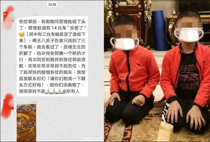 hai con trai vat trui logo xe sang 4