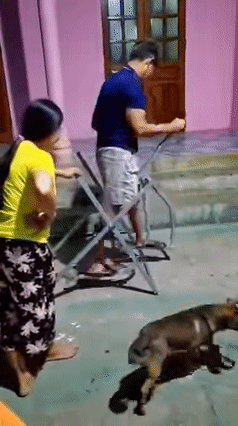 con trai tang qua bo con trai tang qua bo