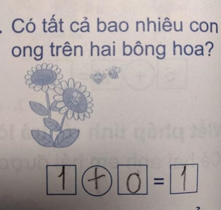 bai toan cua hoc sinh tieu hoc bi gach sai bai toan cua hoc sinh tieu hoc bi gach sai
