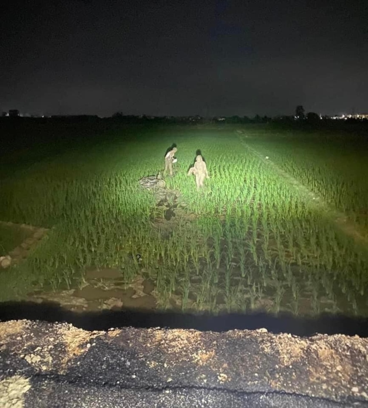cap doi lao xuong ruong 1 cap doi lao xuong ruong 1