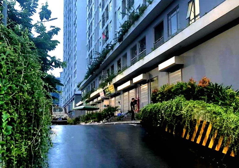 nguoi dan ong roi tang 31
