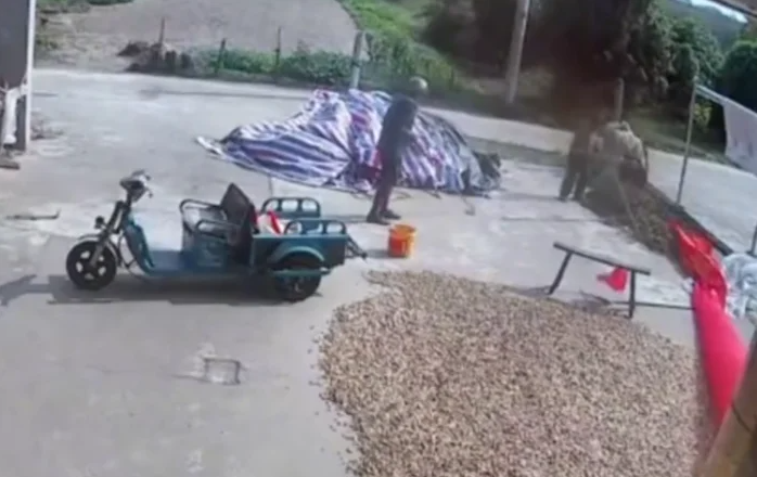 vo chong gia dai chien 3