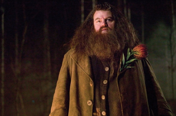 robbie coltrane qua doi 2