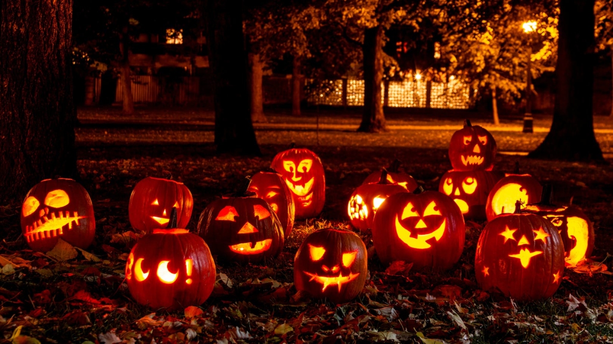 trick or treat 4 trick or treat 4