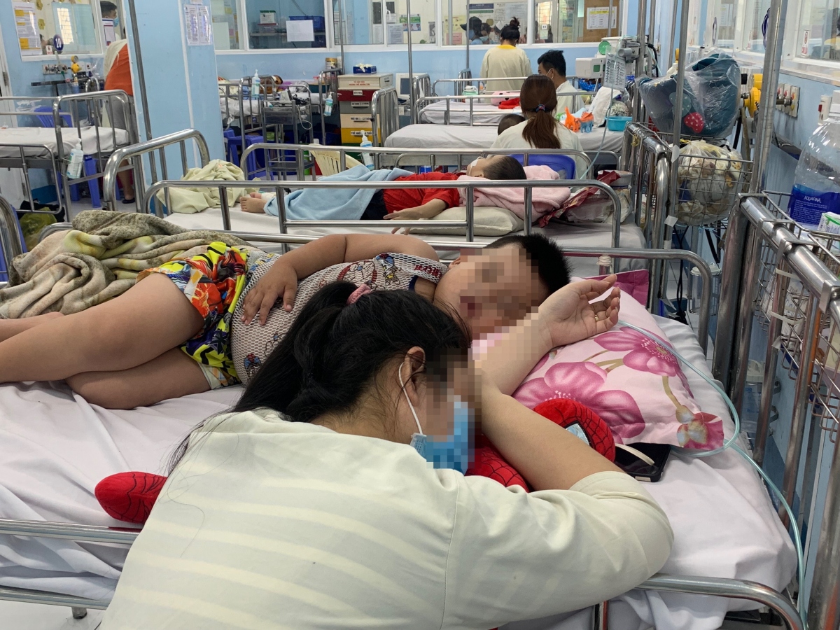 banh ho hap tang cao 2