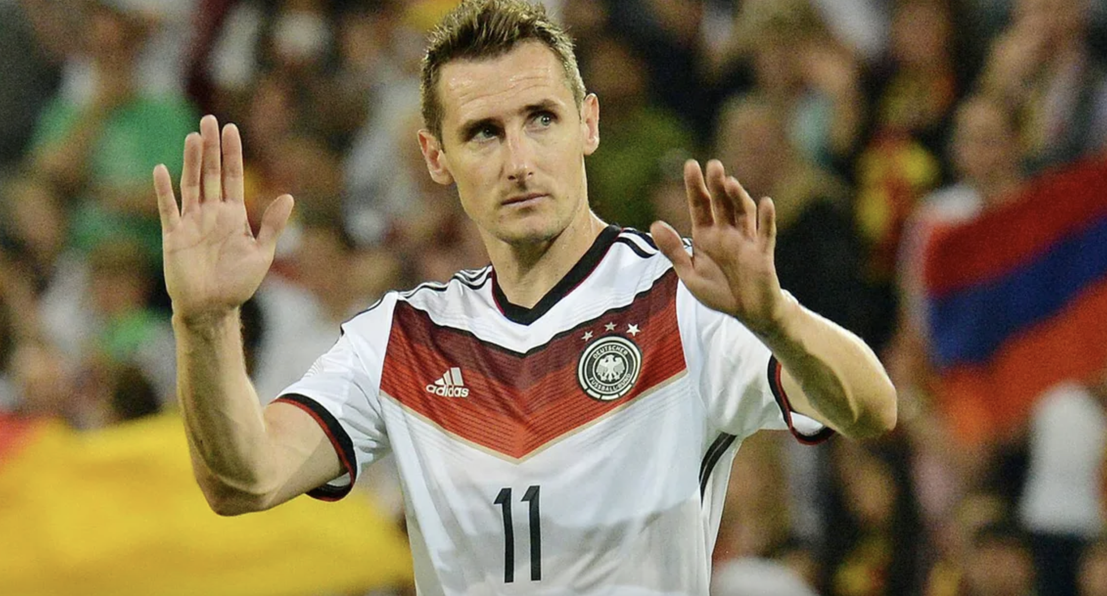 screen shot 2022 11 21 at 120523 screen shot 2022 11 21 at 120523