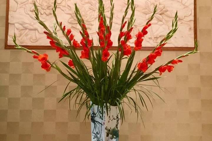 tet nen chung hoa gi 2 tet nen chung hoa gi 2